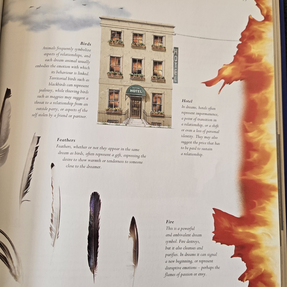 The Secret Language of Dreams Softcover Book - Picture 8 of 12